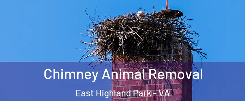  Chimney Animal Removal East Highland Park - VA