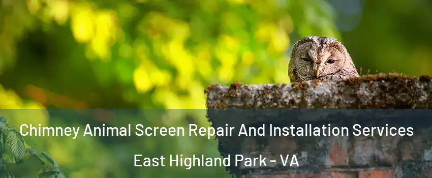  Chimney Animal Screen Repair And Installation Services East Highland Park - VA
