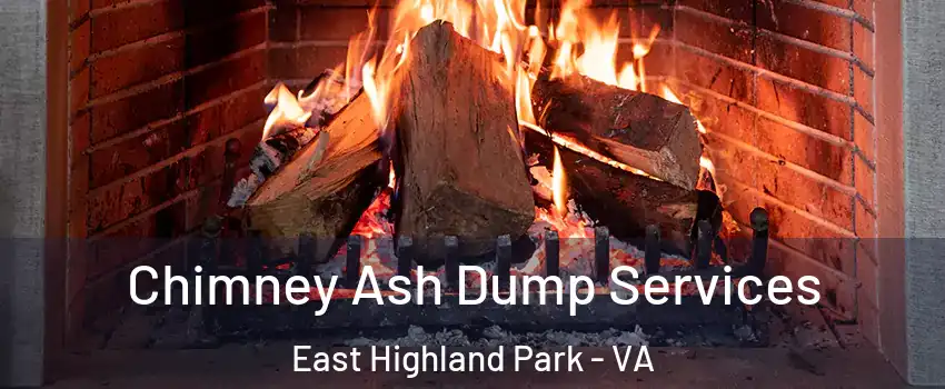  Chimney Ash Dump Services East Highland Park - VA