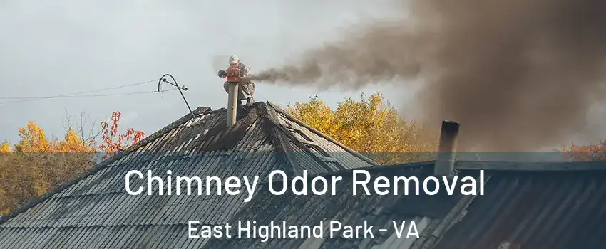  Chimney Odor Removal East Highland Park - VA
