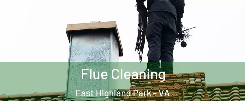  Flue Cleaning East Highland Park - VA