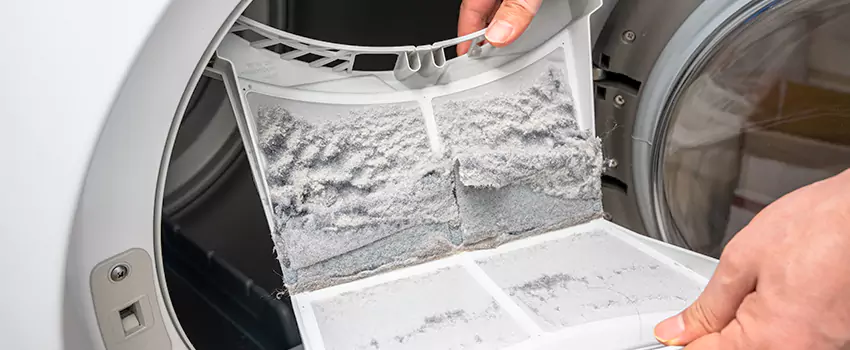 Best Dryer Lint Removal Company in East Highland Park, Virginia