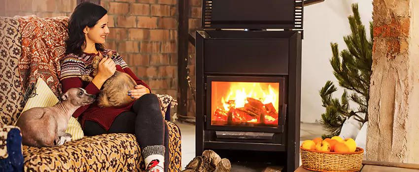 Wood Stove Chimney Cleaning Services in East Highland Park, VA