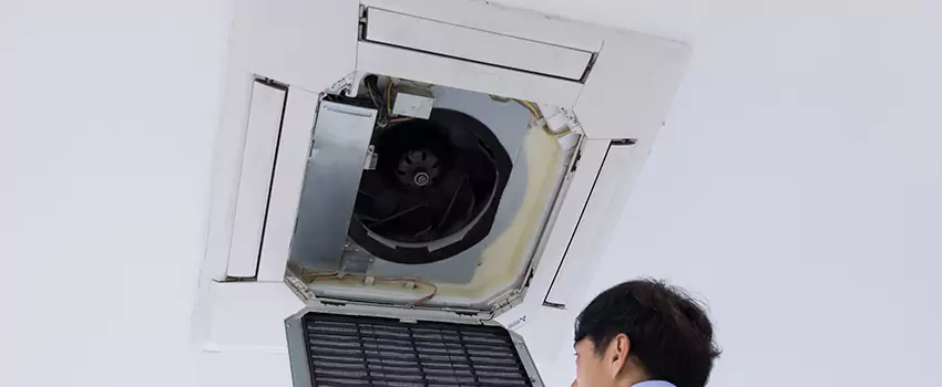Benefits of Professional Air Duct Cleaning in East Highland Park, Virginia