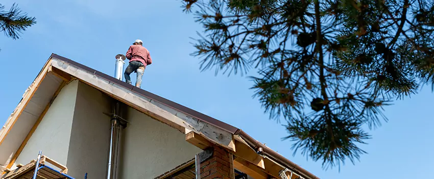Birds Removal Contractors from Chimney in East Highland Park, VA