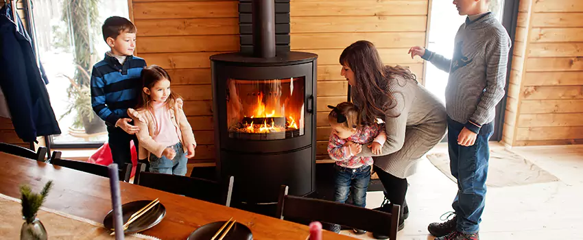Jøtul Gas Fireplace Inspection Service in East Highland Park, Virginia
