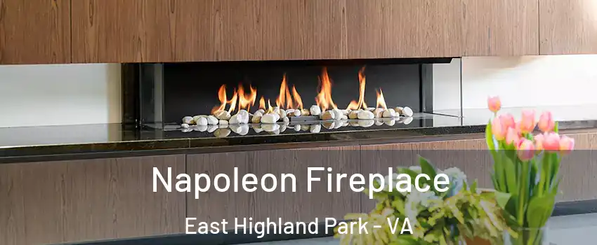  Napoleon Fireplace East Highland Park - VA